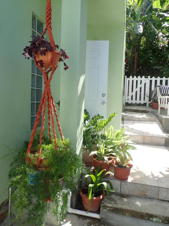 Urban Oasis Apartment Castries Zewnętrze zdjęcie